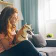 Pets: por que somos tão apegados aos animais de estimação?