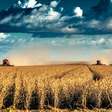 A influência do clima na Agricultura