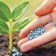 Mercado de fertilizantes registra queda nos preços