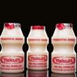 O que so os lactobacilos vivos dentro do Yakult?