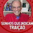 Sonhar com animais pode indicar traição! Descubra quais outros sonhos também indicam