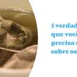 5 verdades que você precisa saber sobre os chás