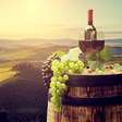 Novas regiões produtoras de vinho trazem diversidade ao mercado
