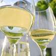 Catarinenses querem que vinho não seja mais 'pecado'; entenda