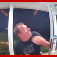 Homem leva mordida de cobra na cabeça ao abrir a porta de casa