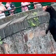 Zoológico chinês nega ter homens fantasiados de ursos após cena viralizar