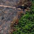 Desmatamento na Amazônia cai 7,4% em um ano; Cerrado tem perda de vegetação recorde no período