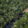 Como exploração de petróleo na Amazônia divide países às vésperas de cúpula convocada por Lula