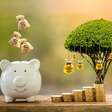 3 tendências do setor de investimento de impacto pro 2º semestre