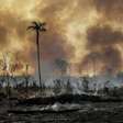 Amazônia teve em 2 anos destruição similar à temporada do 'El Niño Godzilla', mostra pesquisa