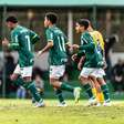Sub-11 e sub-13 do Palmeiras vencem duelos diante do São José pelo Campeonato Paulista