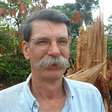 Dia da Amazônia: discussões e o que cai sobre o bioma no Enem