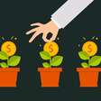 Investimento em startups: será que todas realmente precisam?