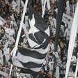 Botafogo confirma 28 mil ingressos vendidos para duelo com o Goiás pelo Brasileirão