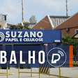 Multinacional SUZANO abre VAGAS DE EMPREGO para candidatos COM E SEM EXPERIÊNCIA; SAIBA COMO CONCORRER