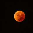 Saiba quais os signos que vão se dar bem com o eclipse lunar em Touro
