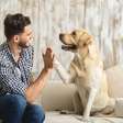 5 maneiras de diminuir a ansiedade de separação em cachorros