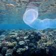 Temperatura dos oceanos bate recorde em novembro