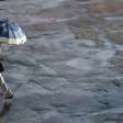 Chances de chuva se estendem ao longo da semana em Mogi das Cruzes; veja previsão do tempo