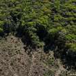 Desmatamento na Amazônia aquece áreas distantes até 100 km