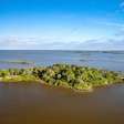 Empresário compra ilha na Flórida com R$ 40 milhões roubados de fundos para covid