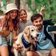 8 dicas para viajar com o cachorro de forma segura