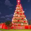 Parque Villa-Lobos inaugura árvore de Natal de 50 metros; veja como agendar visita ao circuito interativo