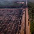 Resumo: a história do desmatamento da Amazônia