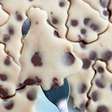 Receita de biscoitone de natal é sucesso esse ano