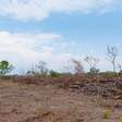Clima extremo no Nordeste: secas, desmatamento e urgência