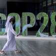 Brasil chega à COP28 com trunfo contra desmatamento e 'esqueletos' no armário