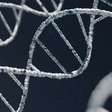 Cientistas podem ter achado a resposta para o TDAH em genes únicos