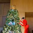 Árvore de Natal: famosos mostram decorações luxuosas de suas mansões