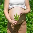 Uso de maconha durante a gravidez pode afetar o desenvolvimento fetal do feto