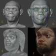 Brasileiro recria aparência do "Homem Dragão", hominídeo mais próximo de nós
