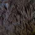Os misteriosos túneis cavados por preguiças-gigantes no Brasil