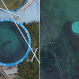 Casal de peixes-boi que vive em aquário desde 1956 será libertado