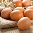 6 alimentos ricos em proteína para substituir o ovo e ganhar músculos