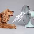 10 sinais de que o cachorro está com calor