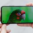 Teste de tela | Zenfone 10 tem display AMOLED de exibição mediana