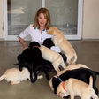 Ana Hickmann visita centro de treinamento para cães de companhia