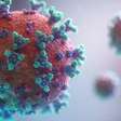 OMS classifica variante JN.1 do coronavírus "de interesse"