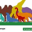 Zoológicos na Europa criam competição por foto mais cativante dos animais