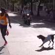 Cachorro ameaça avançar e assusta bicampeã da São Silvestre