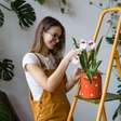 4 dicas valiosas para cuidar das plantas e flores no verão