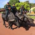 Polícia Militar usa búfalos no combate ao crime na Ilha de Marajó; assista