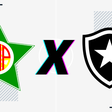 Botafogo x Portuguesa: retrospecto, prováveis escalações, arbitragem, onde assistir e palpites
