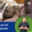 5 sinais de que seu pet está com depressão e ansiedade