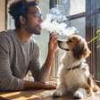 Fumaça de cigarro é ruim para a saúde do seu pet