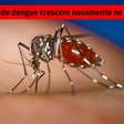 Avanço da dengue no Brasil: o que pode ser feito?